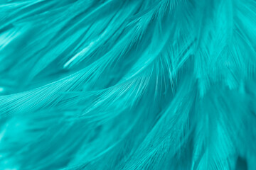 Beautiful dark green vintage color trends feather texture background