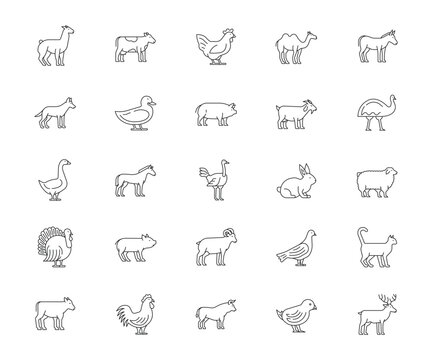 set of farm animals and birds icons set. vector illustration.