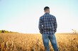 © Serhii - A farmer inspects a soybean field. The concept of the harvest
