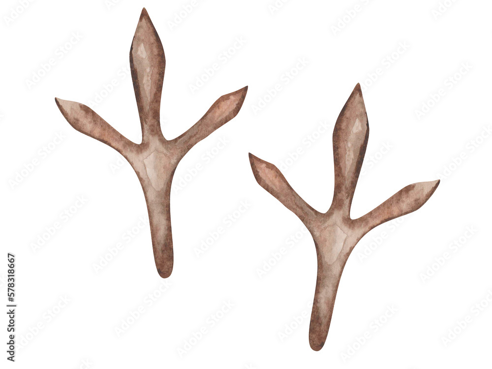 Watercolor illustration. Hand painted brown footprints of bird paws ...