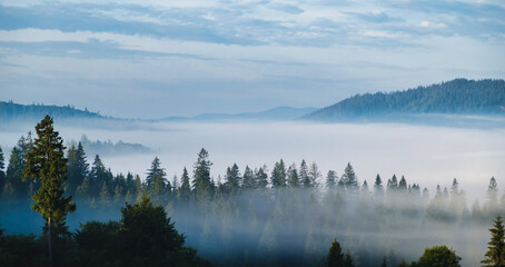 Panorama of forest covered by low clouds. Autumn rain and fog on the mountain hills. Misty fall woodland.