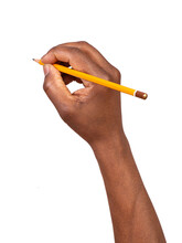 Man Holding A Pencil In A Hand And Writing Or Drawing, Isolated On White Or Transparent Background 