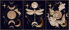 Set Of 3 Vector Mystical Illustrations With Butterflies, Dragonflies, Moon, Stars, Rose Flowers On A Geometric Magical Background