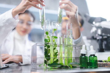 eco skin care beauty products in laboratory development concept, Natural drug research with organic plants and scientific extraction in glassware, Alternative green herb medicine for body health care