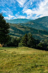 Wall Mural - green mountains that are completely covered with forests and glades. The glades that stretch through the forest reflect bright green grass and various colors of flowers. vertical photo