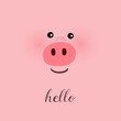 Pink background with cute pig face and hello text. Vector illustration.
