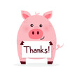 Funny pig with „thanks” text on a white background. Design of a cute animal character. Vector illustration