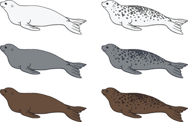 Wall Mural - Spotted Seal Clipart Set - White, Grey and Brown
