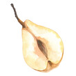 Botanical watercolor illustration. Chinese Yellow Fresh  Pear fruits