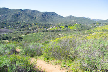 Vast mountain landscape nature plants