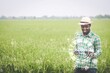© arrowsmith2 - African farmer using tablet for research data of organic rice farm field.Concept of future hologram technology for sustainability, growth or futuristic farming