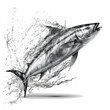 an illustration of a jumping sardine fish with water splashes on transparent background