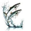 an illustration of a jumping sardine fish with water splashes on transparent background