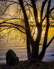 Canvas Print - tree at a lake in austria