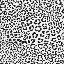 Black And White Leopard Seamless Pattern. Fashion Stylish Vector Texture. Vector