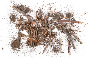 Wall Mural - Pile of soil, twigs of wood, branches and conifer yellow leaves, needles isolated on white background and texture, top view

