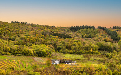 Wall Mural - A Farmhouse on hill in Senheim village between steep vinyards and rolling hills during autumn in Cochem-Zell distric, Germany