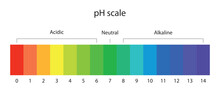 PH Scale. Acid And Base Solutions