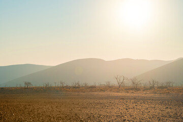 Namib Desert Safari with sand dune in Namibia, South Africa. Natural landscape background at sunset. Famous tourist attraction. Sand in Grand Canyon