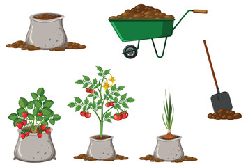 Poster - Set of plant and gardening tools and equipment