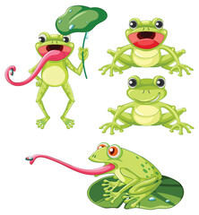 Wall Mural - Set of green frog cartoon character