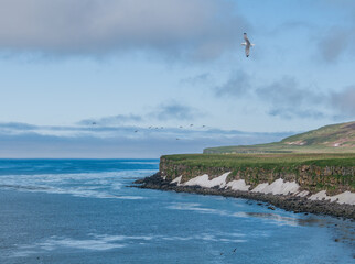 Wall Mural - View of St. George Island, Pribilof Islands, Alaska, USA