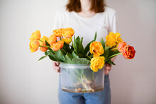 Woman Holding  Bucket With  Tulips.