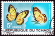 Postage stamp Chad 1967 yellow splendour tip, colotis protomedia, butterfly