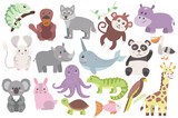 Fototapeta Pokój dzieciecy - Zoo animals set icons concept without people scene in the flat cartoon design. Image of different animals which we can see in zoo. Vector illustration.