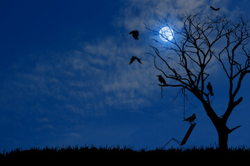 Wall Mural - Silhouette of a dry tree outdoors with an old swing broken chain and surrounding crow birds at full moon night.