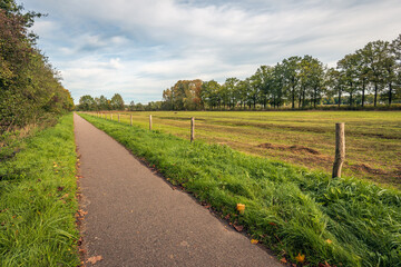 Canvas Print - Narrow cycling and walking path in a natural environment in the Dutch province of North Brabant. It is autumn, the trees are changing color and some leaves have already fallen to the ground.