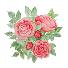 Bouquet Of Pink Roses Painted With Gouache And Isolated On A Transparent Background.