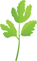 Wall Mural - Health parsley icon cartoon vector. Leaf plant. Fresh food