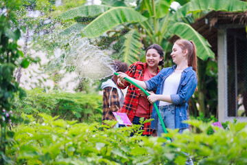 Wall Mural - Two teenage girls are watering vegetables in the vegetable farm garden.