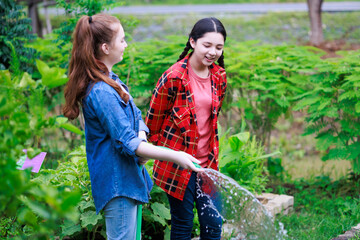 Wall Mural - Two teenage girls are watering vegetables in the vegetable farm garden.