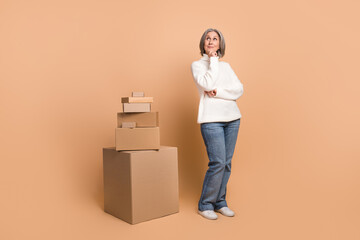 Sticker - Photo of sweet dreamy lady dressed white sweater looking empty space delivering boxes pile isolated beige color background