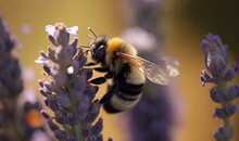 A Bee That Is Sitting On A Purple Flower In A Field.  Generative Ai
