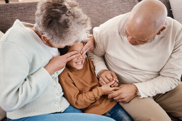 Sticker - Love, grandparents and boy play on couch, happiness and bonding together for quality time. Family, granny and grandad with grandchild, playing and smile in living room, loving and enjoy retirement