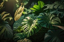 Rays Of Sun Through Leaves In Tropical, Soft Focus Under Natural Sun Light With Colorful Blurred Background. AI Generation