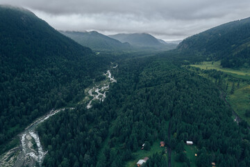 Wall Mural - Landscape autumn forest green trees in rural, aerial top view. Concept nature melancholic