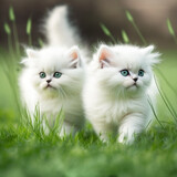 Fototapeta Na ścianę - Adorable Chubby Kittens created with Generative AI Technology