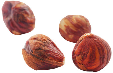 Canvas Print - Hazelnut