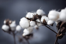 Cotton Balls Grow On A Cotton Farm, Generative AI