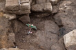 Tools on the ground in an archaeological excavation