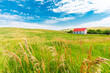 Old Montana Schoolhouse in a Field of Green and Yellow