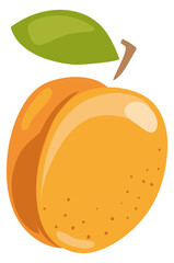 Wall Mural - Summer apricot icon. Cartoon sweet healthy fruit