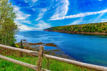 Wall Mural - Otter Cove in Acadia National Park