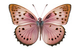 Fototapeta Motyle - Butterfly cutout