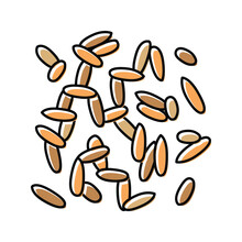 Oryza Grain Food Color Icon Vector Illustration