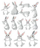Fototapeta Pokój dzieciecy - Cute rabbit cartoon character collection
